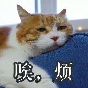 总结：办公室装修时会遇到的那些坑