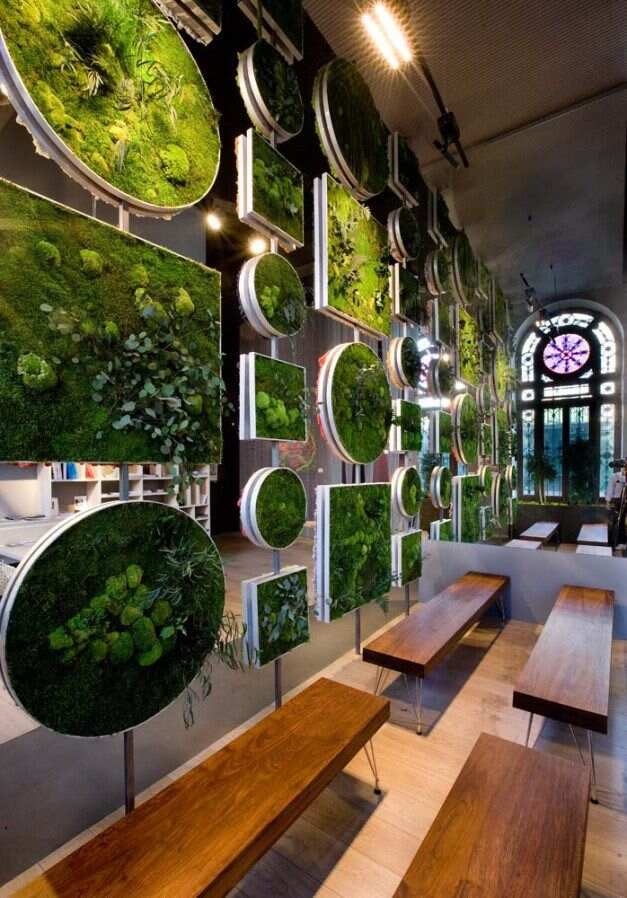 懂了，会用绿植装饰空间的人都是隐形的享受高手！