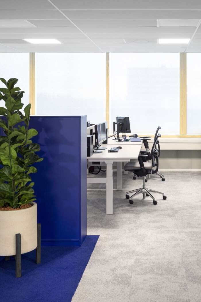 清新脱俗的蓝白简约风——办公室装修