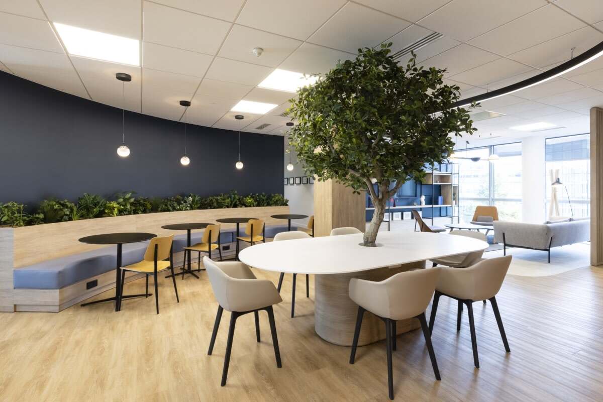 绿植既可以作为空间阻断也可以作为点缀为办公室装修添加色彩