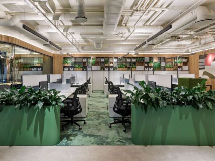 深圳办公室装修完，摆放绿色植物生存的五大原因