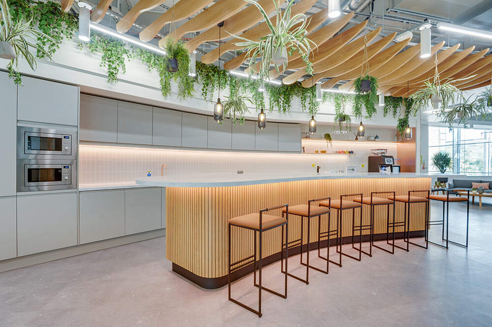 办公室装修完如何挑选绿色植物摆放环保？
