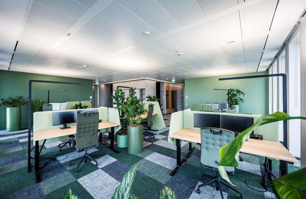 植物与生态墙在办公室装修设计中的绿化